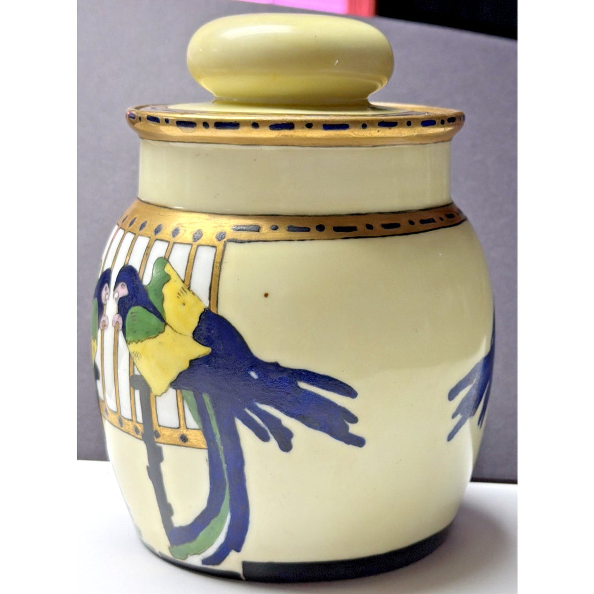 Antique Imperial Austria Hand Painted Parrot Jar Canister Humidor Lid As Is