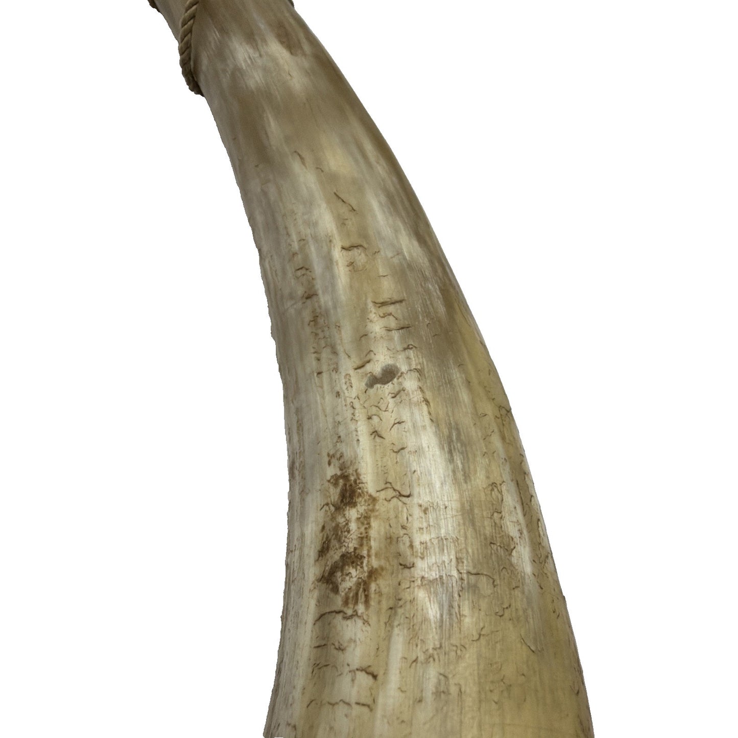 Old Primitive Powder Horn Powder Flask Wood Dome End Broken Plug As Is