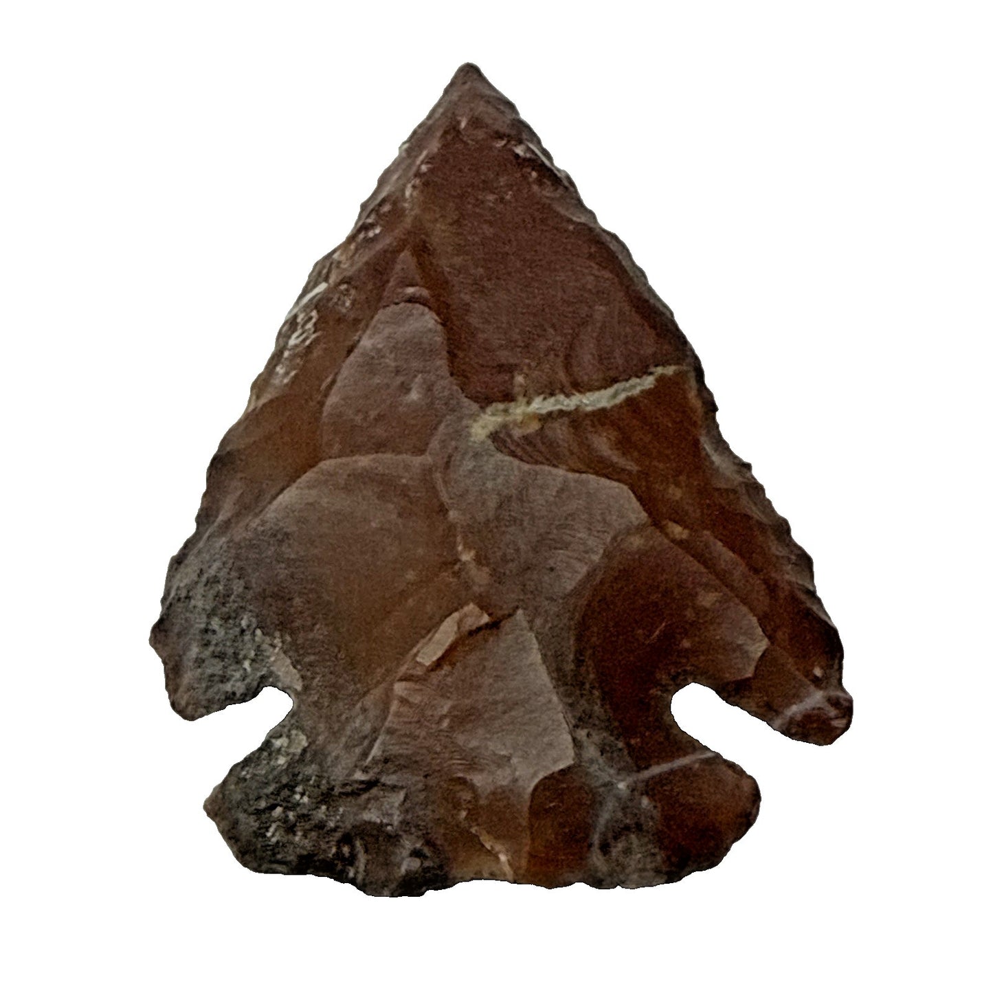 Chert Flint Serrated Edge Brown Gray Arrowhead