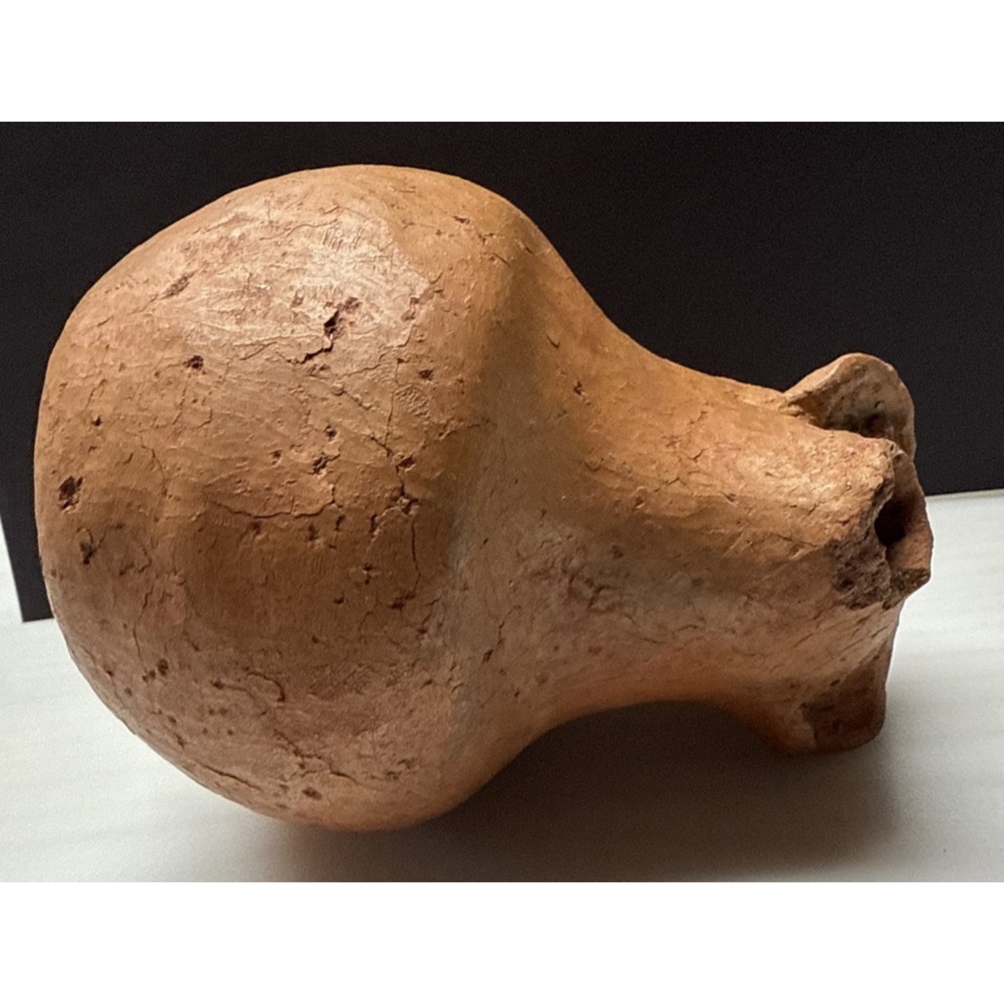 Columbian Zoomorphic Effigy Jar Clay Pitcher Jug As Is