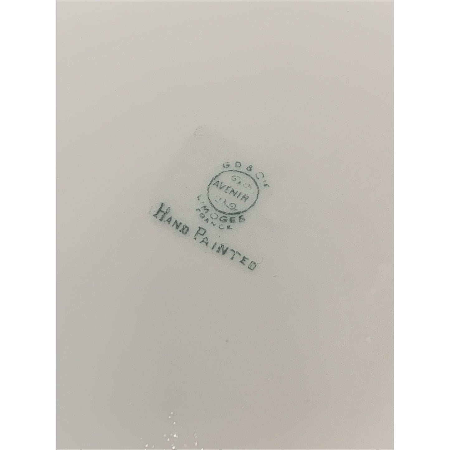 Old GD & Cie Avenir Limoges Hand Painted Plate Floral Gold Rim Signed Tharaud