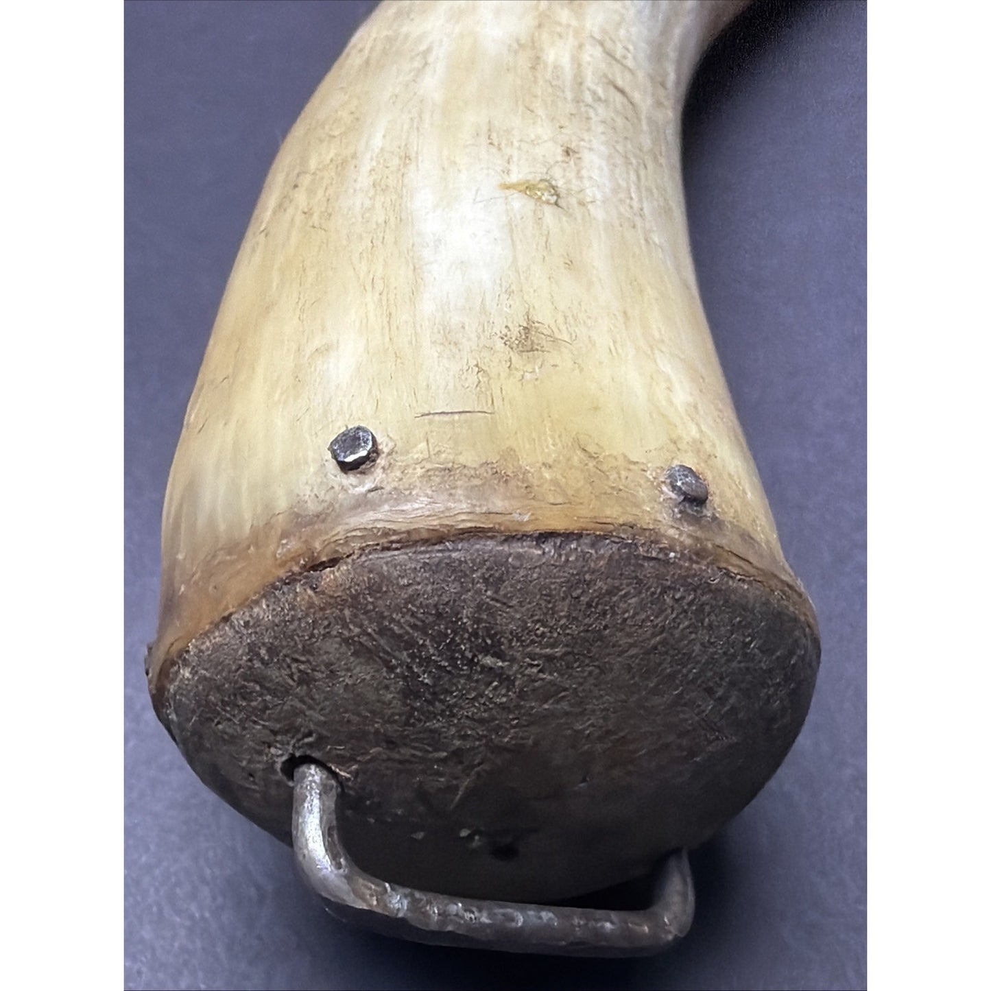 Old Primitive Powder Horn Powder Flask Wood Dome End Broken Plug As Is