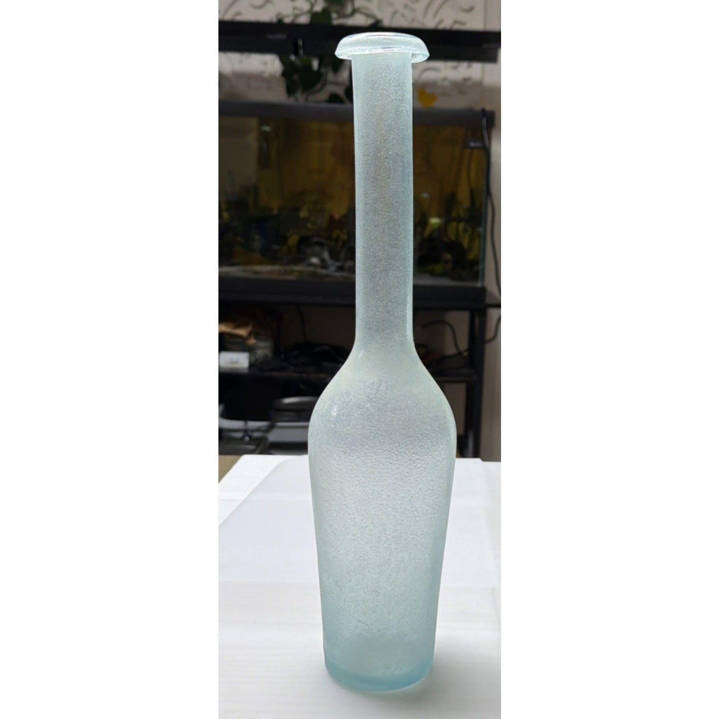 Rachel Ashwell Shabby Chic Scavo Texture Long Neck Glass Vase Rolled Lip Amphora