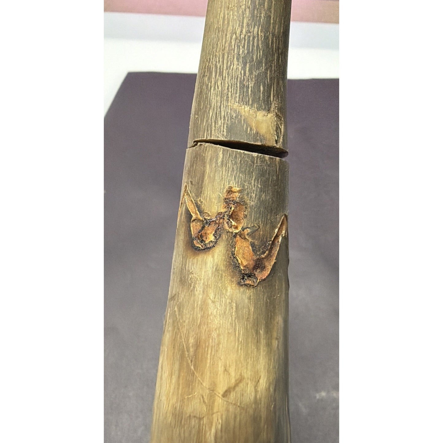 Old Powder Horn Vessel Branded Scrimshaw Engraved Symbols Initials As Is Read