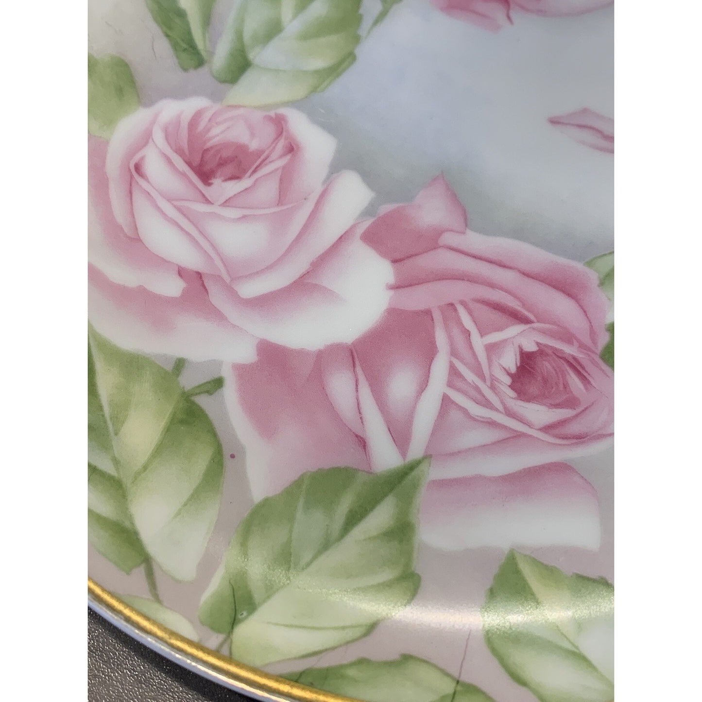Old RC Rosenthal Kronach Bavaria Hand Painted Roses Floral Plate Signed 8.75"