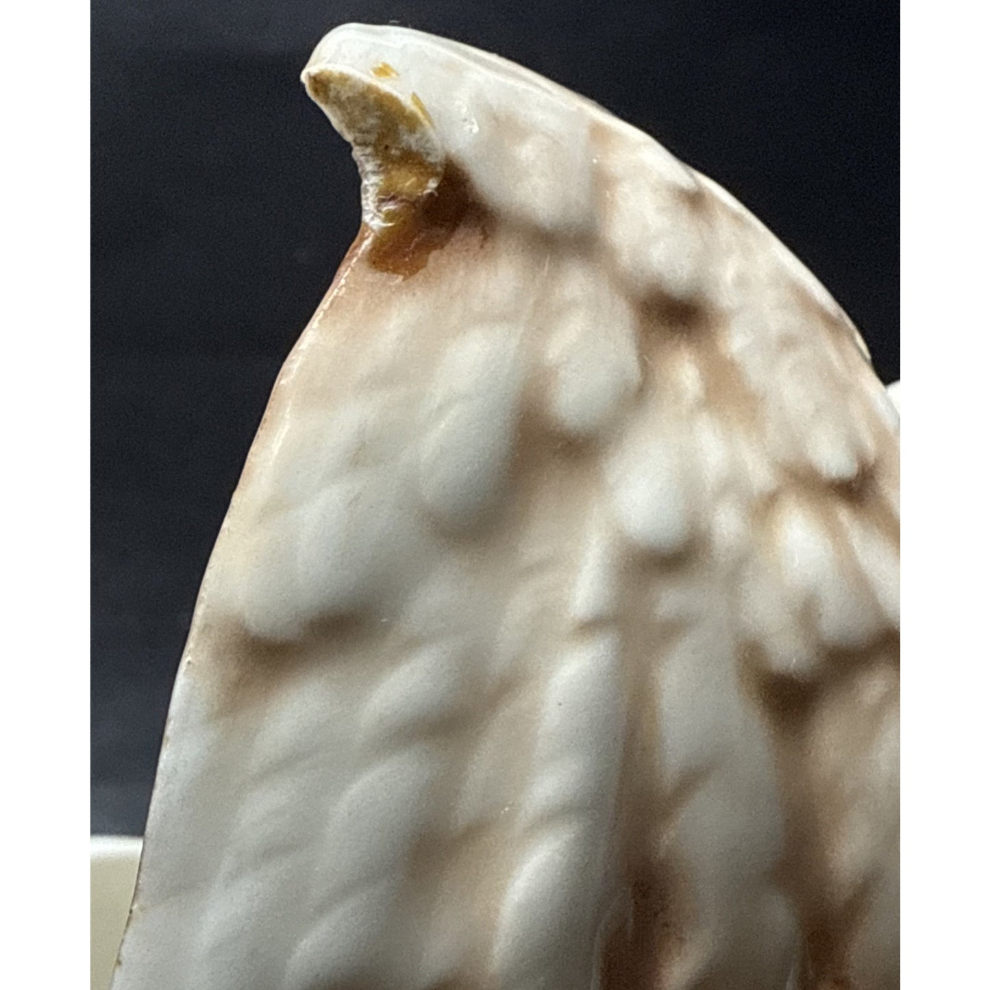 Art Nouveau Art Pottery Majolica Eagle Jardiniere Planter Display Austria