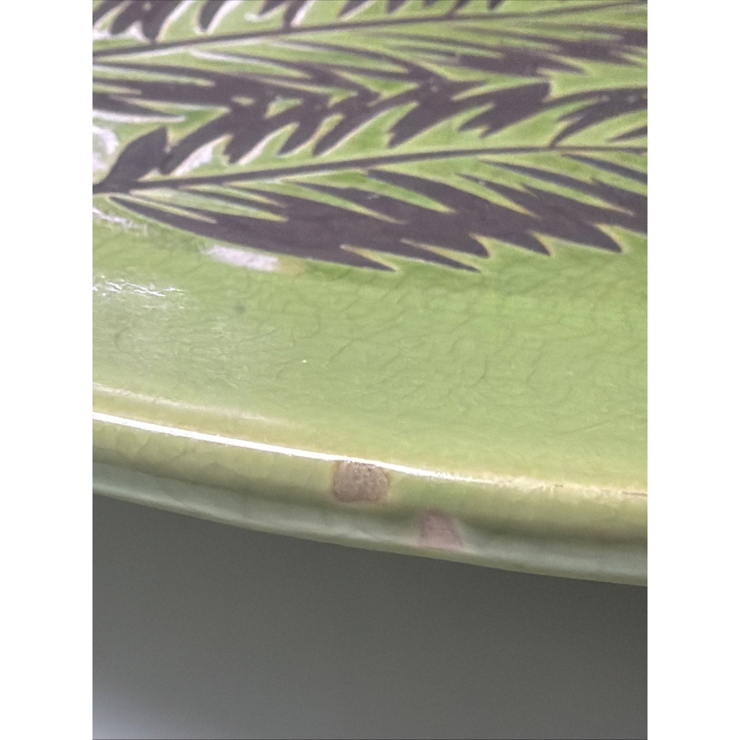 MCM En Franco Guadalajara Pottery Charger Tray Large Crackle Glaze Botanical