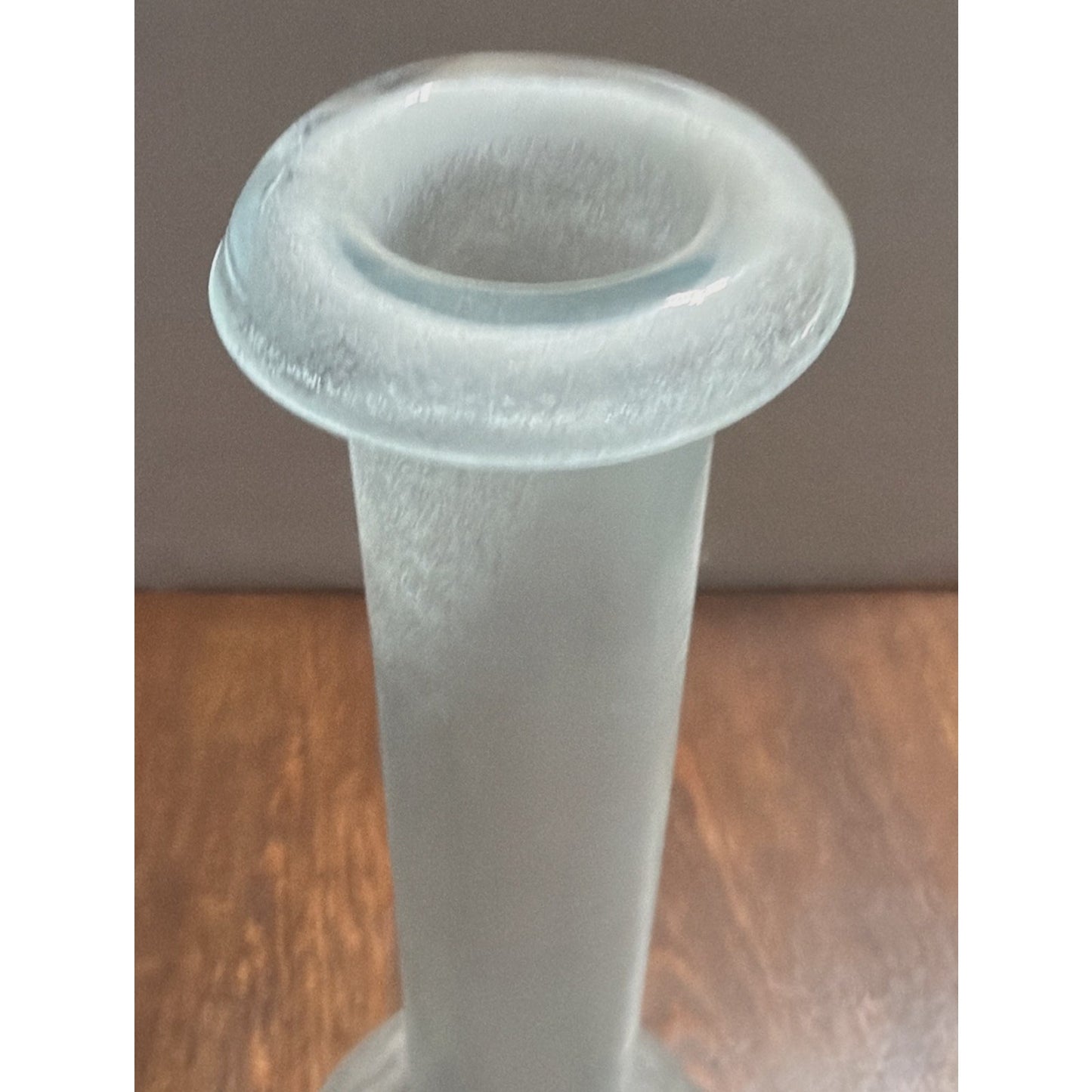 Rachel Ashwell Shabby Chic Scavo Texture Long Neck Glass Vase Rolled Lip Amphora