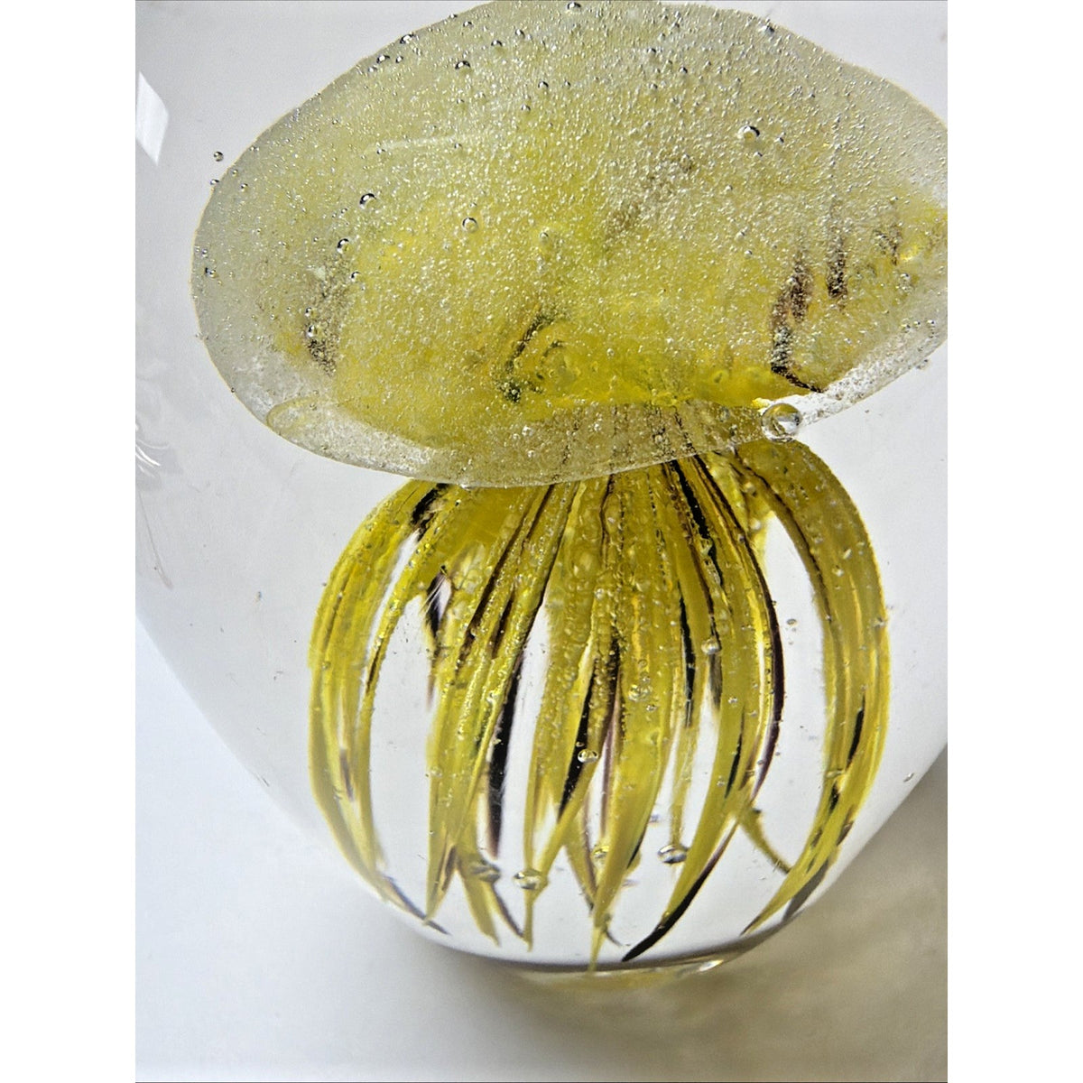 Dynasty Gallery Art Glass Jellyfish Paperweight Yellow Black UV Reactive Glows