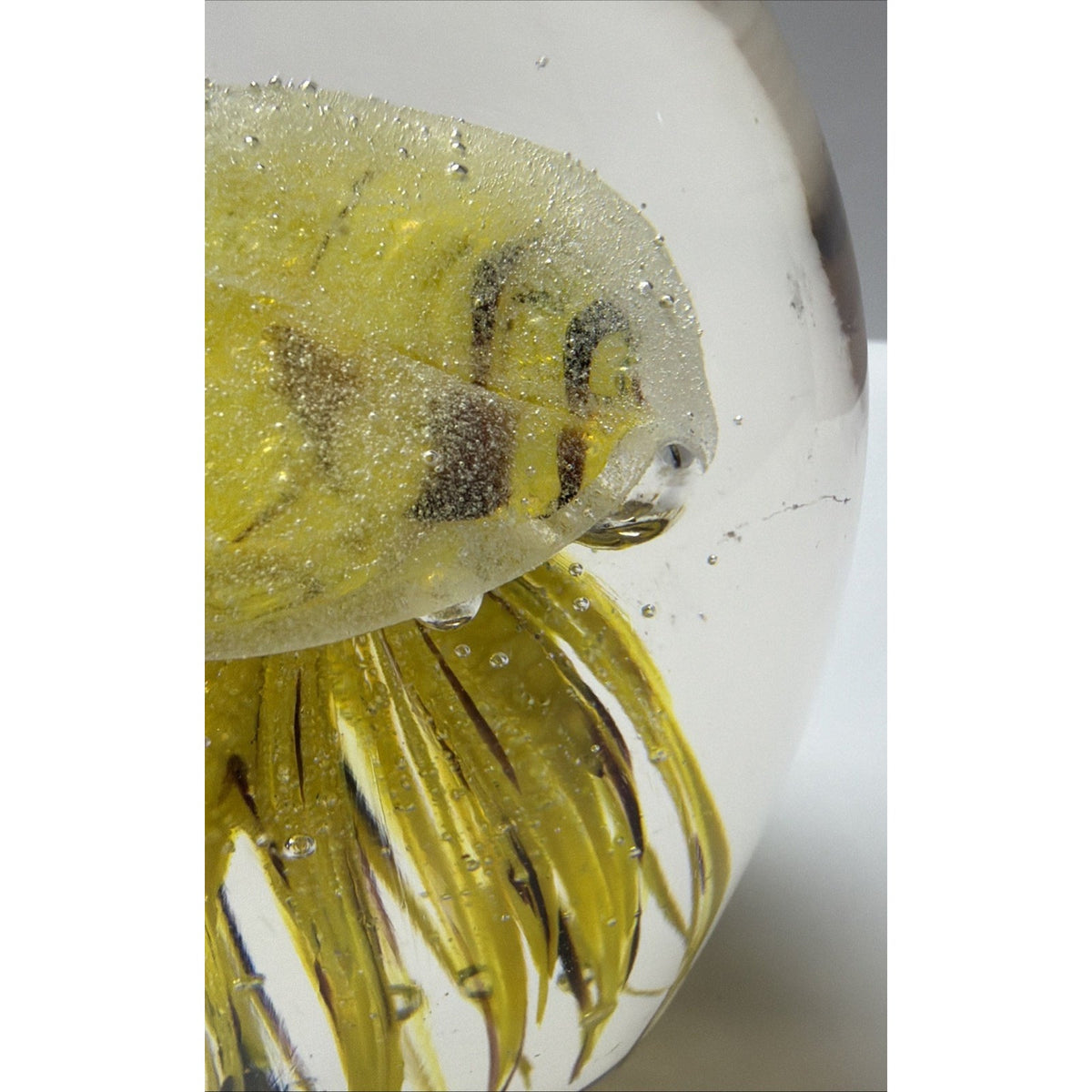 Dynasty Gallery Art Glass Jellyfish Paperweight Yellow Black UV Reactive Glows