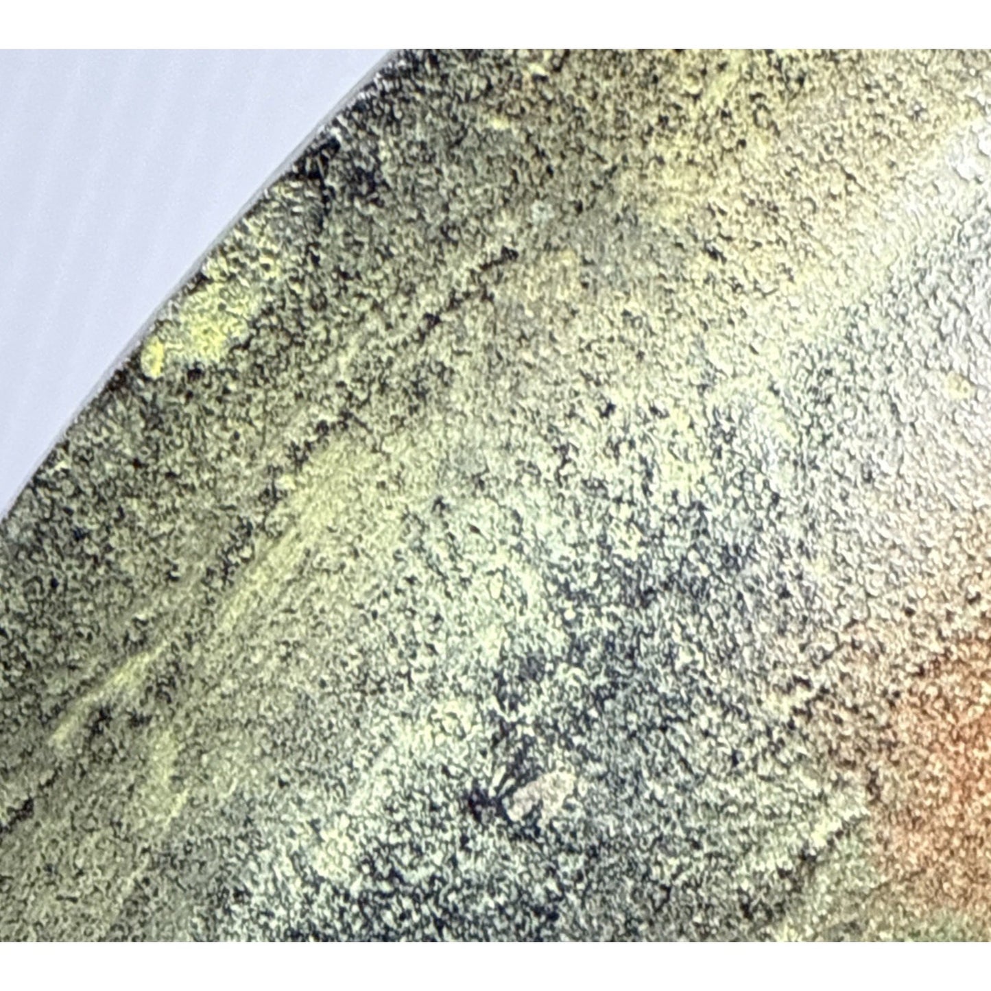 Antique Bradley Hubbard Cast Iron Wall Plaque Plate Wild Horse Stallions Bronze