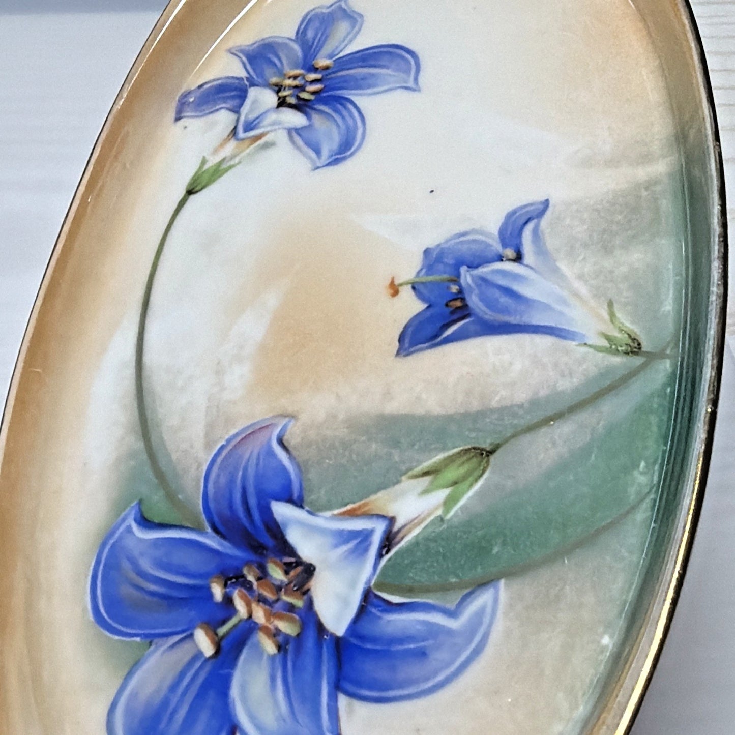 Antique RS Germany Hand Painted Luster Celery Tray Purple Floral Serving Vanity