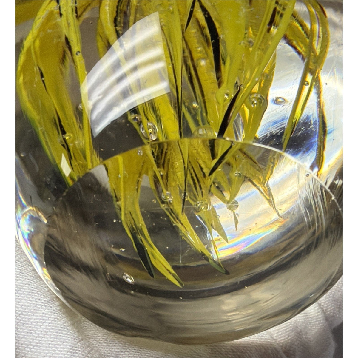 Dynasty Gallery Art Glass Jellyfish Paperweight Yellow Black UV Reactive Glows