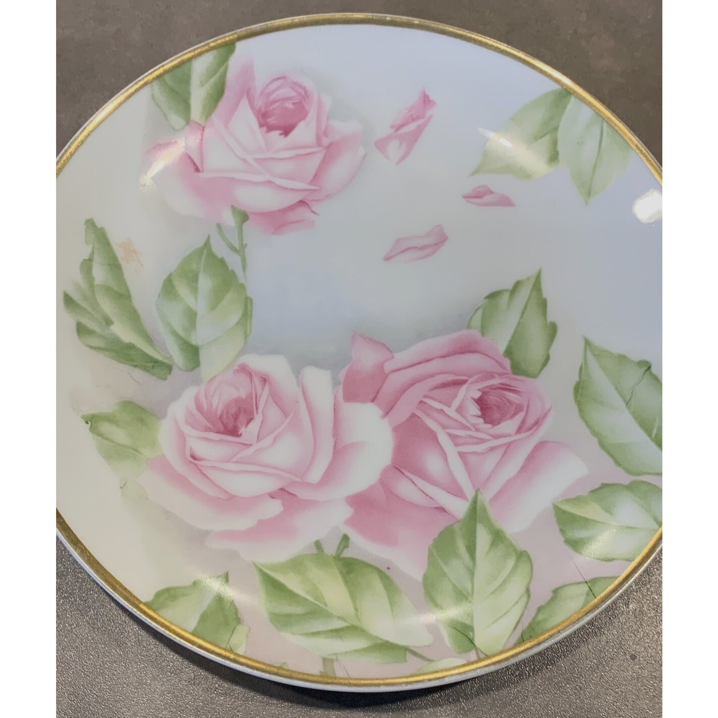 Old RC Rosenthal Kronach Bavaria Hand Painted Roses Floral Plate Signed 8.75"