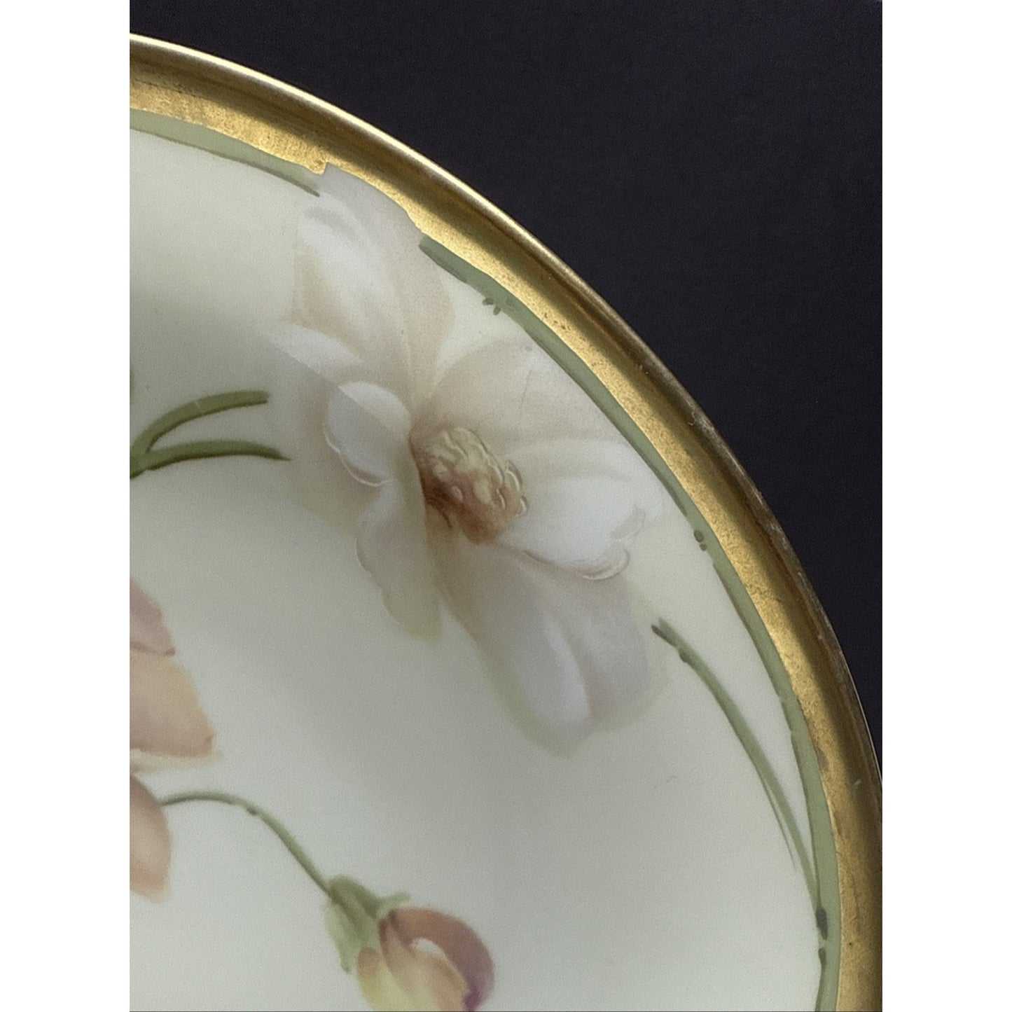 Old RS Prussia Germany Hand Painted Cabinet Plate Gold Floral Signed