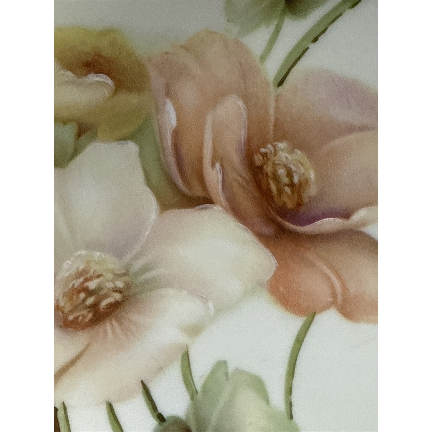 Old RS Prussia Germany Hand Painted Cabinet Plate Gold Floral Signed