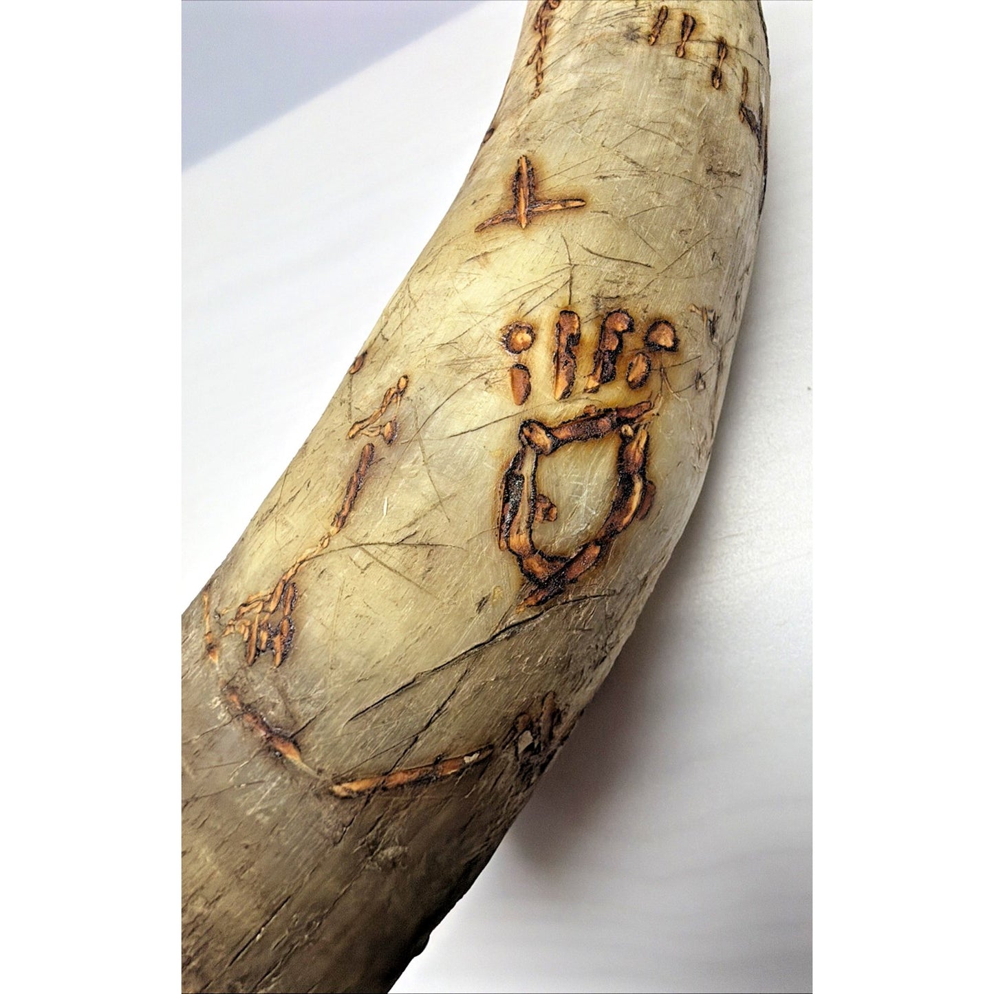 Old Powder Horn Vessel Branded Scrimshaw Engraved Symbols Initials As Is Read