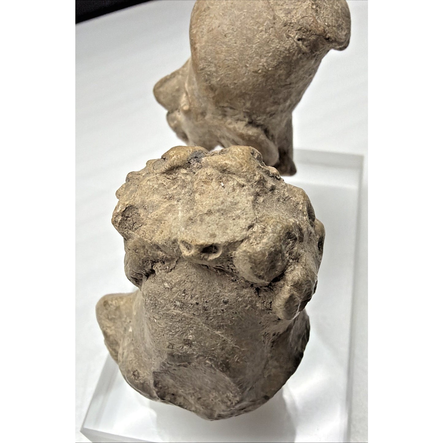 Pre-Columbian Pottery Head Fragment Acrylic Stand Tumaco La Tolita As Is Read