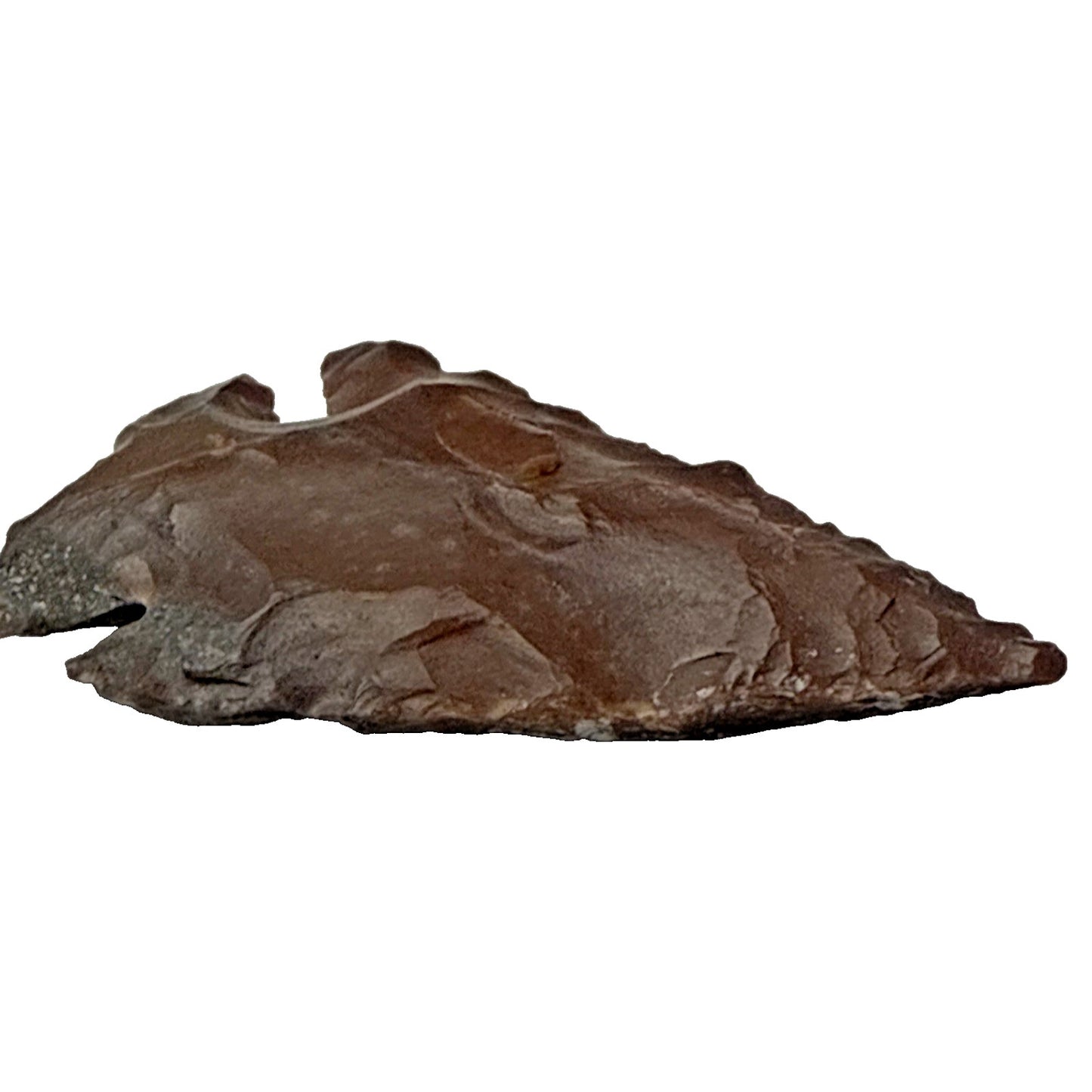 Chert Flint Serrated Edge Brown Gray Arrowhead